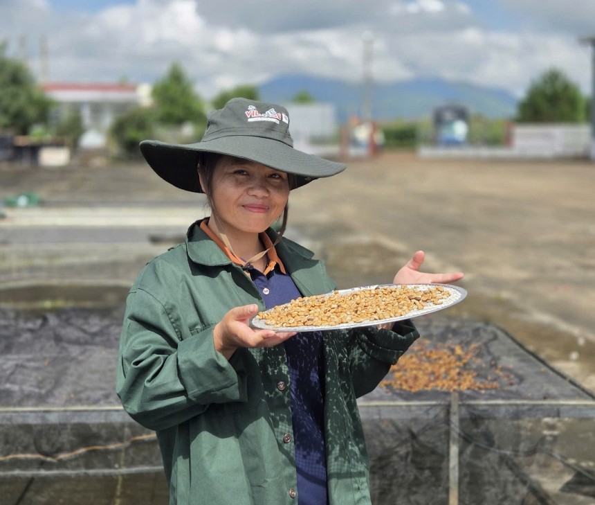 Phụ nữ Gié Triêng vượt khó xây dựng thương hiệu cà phê Arabica