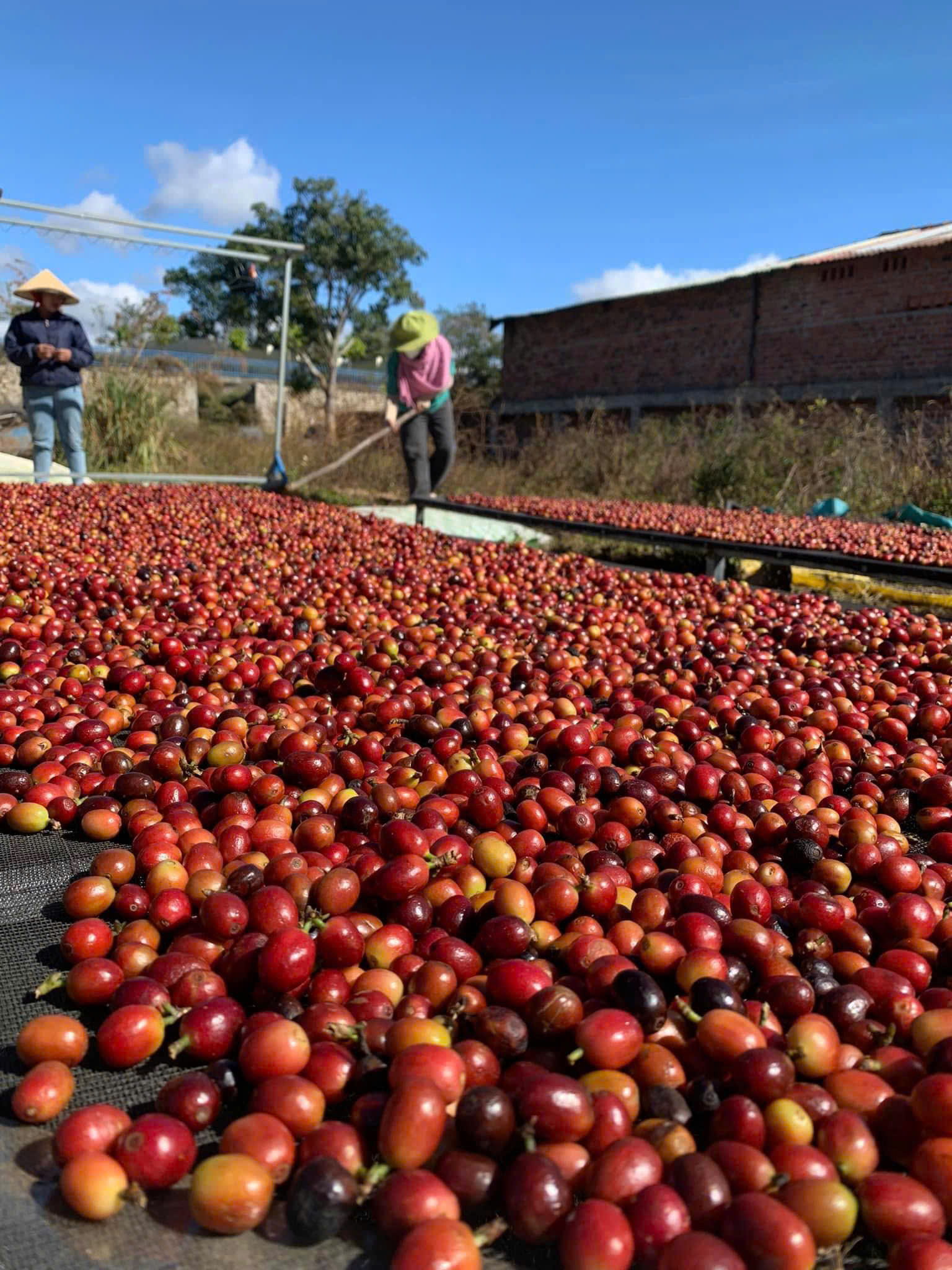 z7150380490676 a6799d457fba8a4cd5e308b8e5f9a63d