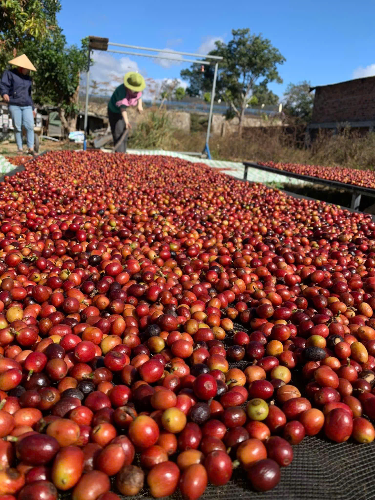 z7150380649833 e75d64c0485f0e4c748b0d773298cc07