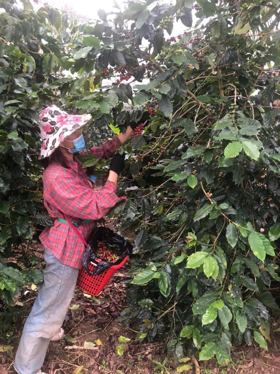 z7150381908618 246a111c27ac5934752148ce48fc4b70